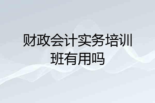 财政会计实务培训班有用吗