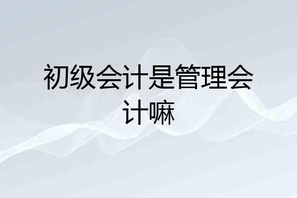 初级会计是管理会计嘛