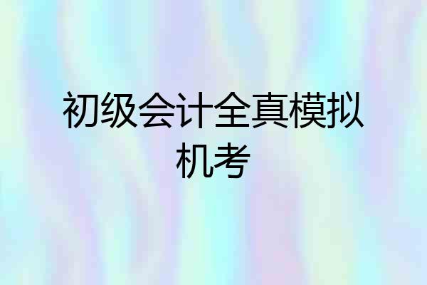 初级会计全真模拟机考