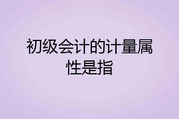 初级会计的计量属性是指