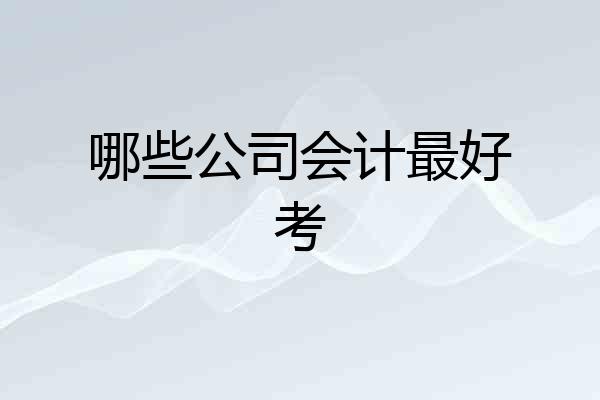 哪些公司会计最好考