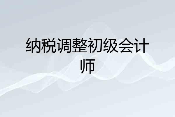 纳税调整初级会计师