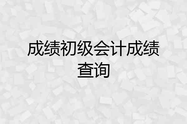 成绩初级会计成绩查询