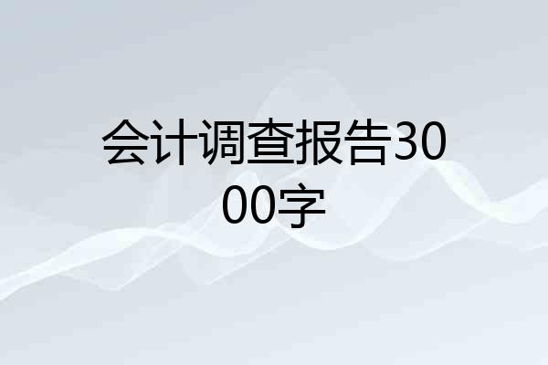 会计调查报告3000字