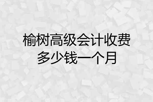 榆树高级会计收费多少钱一个月