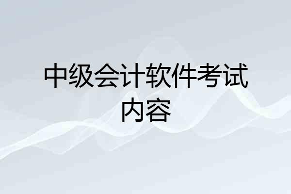 中级会计软件考试内容