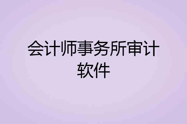 会计师事务所审计软件