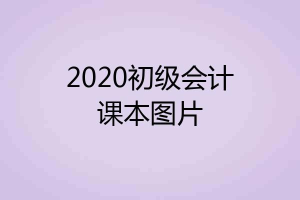 2020初级会计课本图片