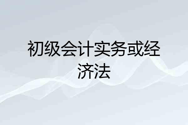 初级会计实务或经济法