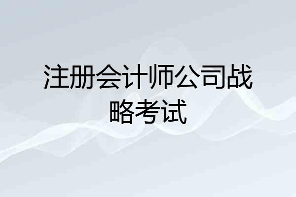 注册会计师公司战略考试
