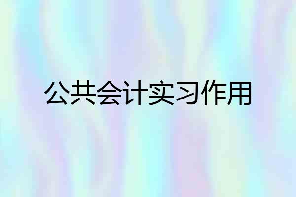 公共会计实习作用