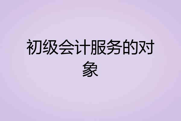 初级会计服务的对象