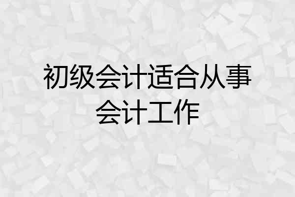 初级会计适合从事会计工作