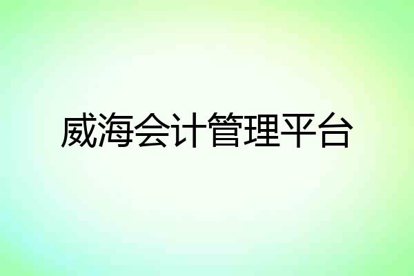 威海会计管理平台
