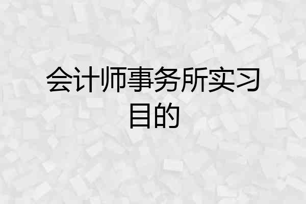 会计师事务所实习目的