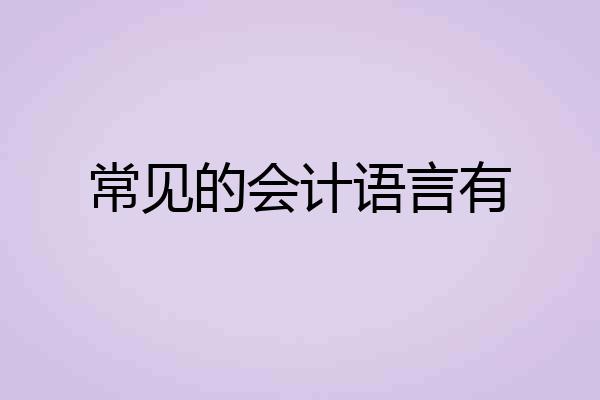 常见的会计语言有