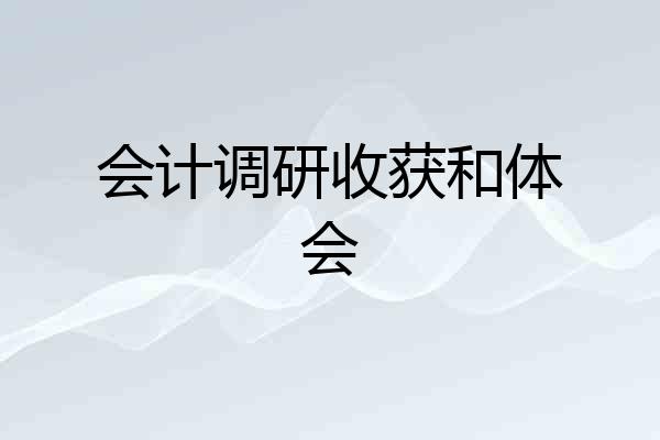 会计调研收获和体会
