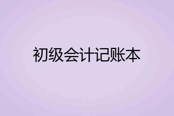 初级会计记账本