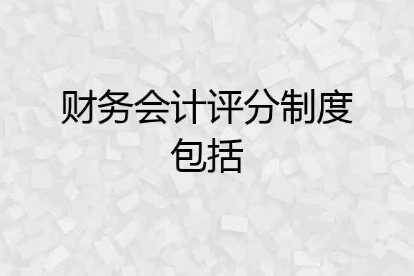 财务会计评分制度包括