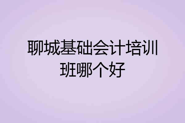 聊城基础会计培训班哪个好