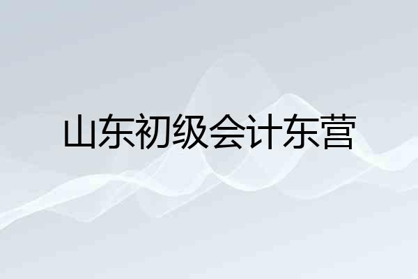 山东初级会计东营