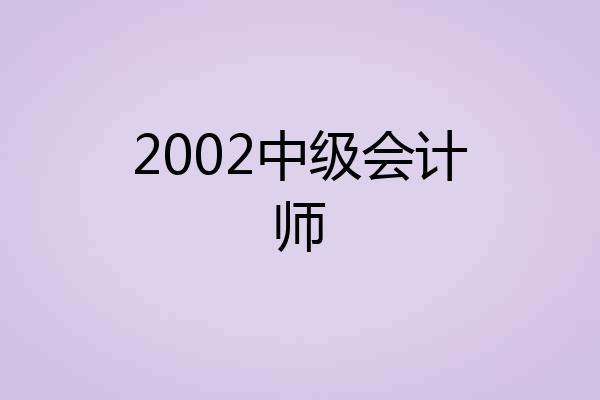 2002中级会计师
