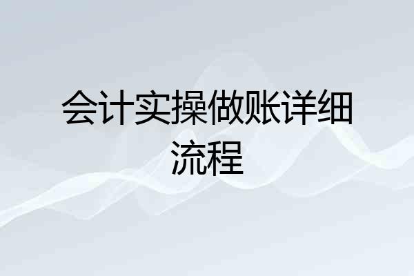 会计实操做账详细流程