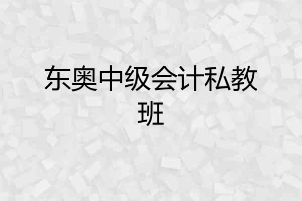 东奥中级会计私教班