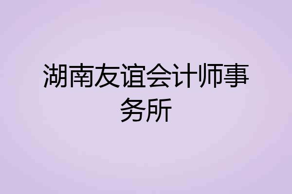 湖南友谊会计师事务所