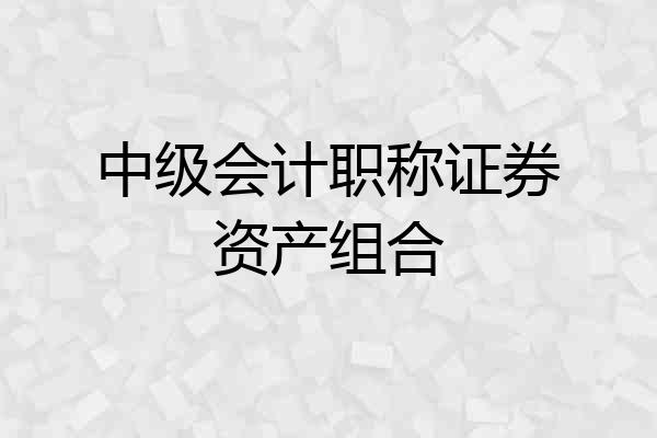 中级会计职称证券资产组合