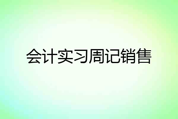 会计实习周记销售