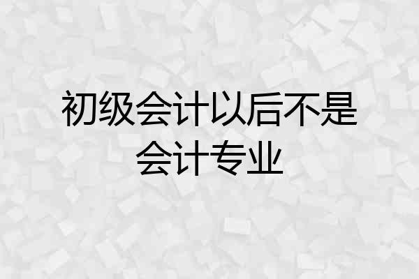 初级会计以后不是会计专业