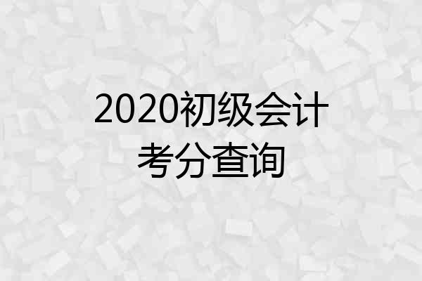 2020初级会计考分查询