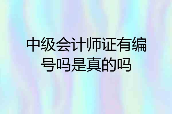中级会计师证有编号吗是真的吗