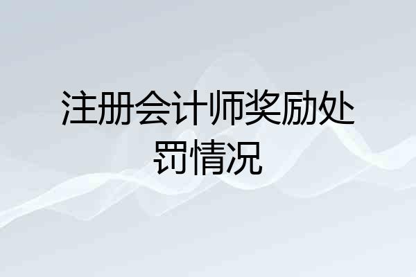 注册会计师奖励处罚情况