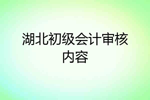 湖北初级会计审核内容