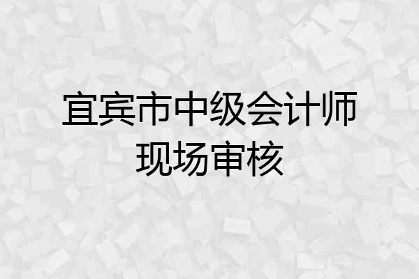 宜宾市中级会计师现场审核