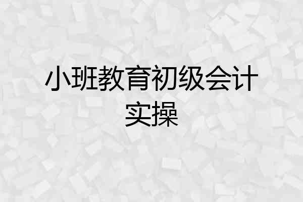 小班教育初级会计实操