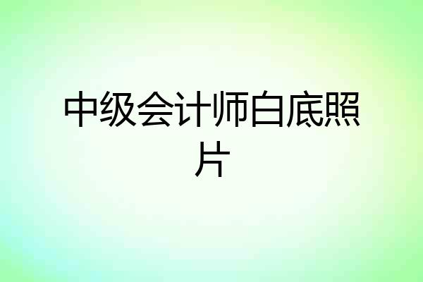 中级会计师白底照片