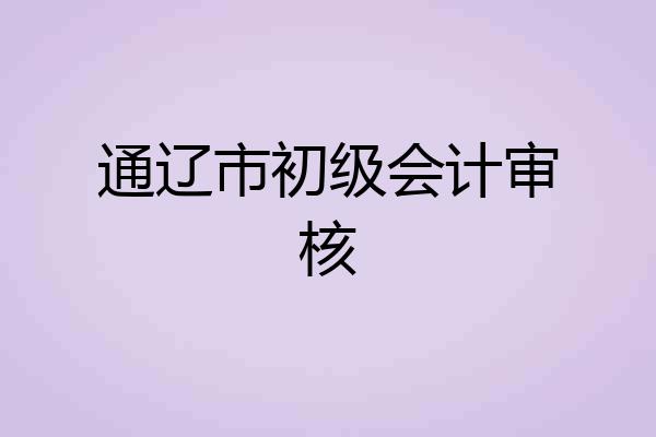 通辽市初级会计审核