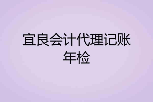 宜良会计代理记账年检