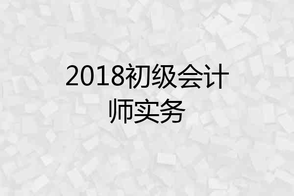 2018初级会计师实务