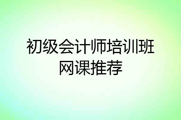 初级会计师培训班网课推荐