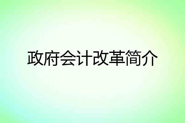 政府会计改革简介