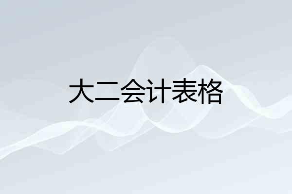大二会计表格