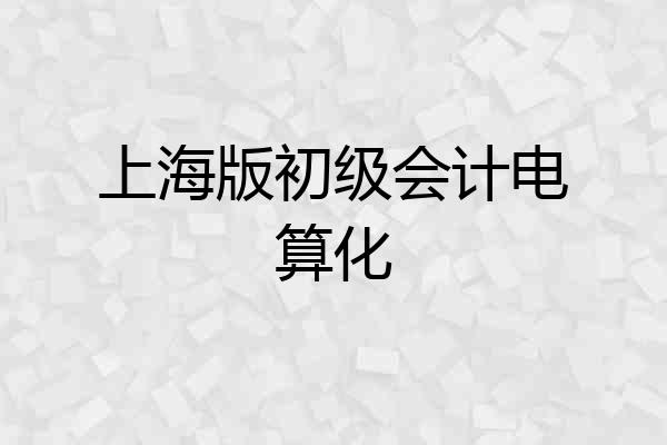 上海版初级会计电算化
