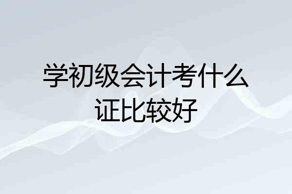 学初级会计考什么证比较好