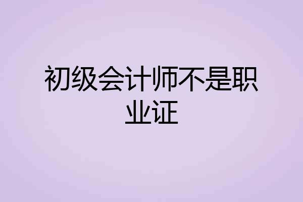 初级会计师不是职业证