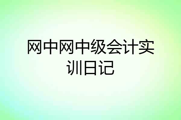 网中网中级会计实训日记