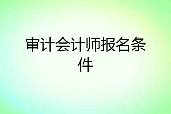 审计会计师报名条件